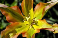 /album/couleur/dsc9186-w-jpg/