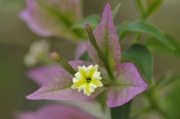 /album/couleur/dsc9221-rw-jpg/