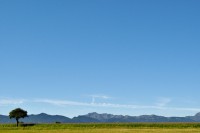 /album/couleur/arbre-montagnes-w-jpg/